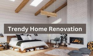 Trendy Home Renovation